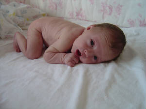 ella036.jpg